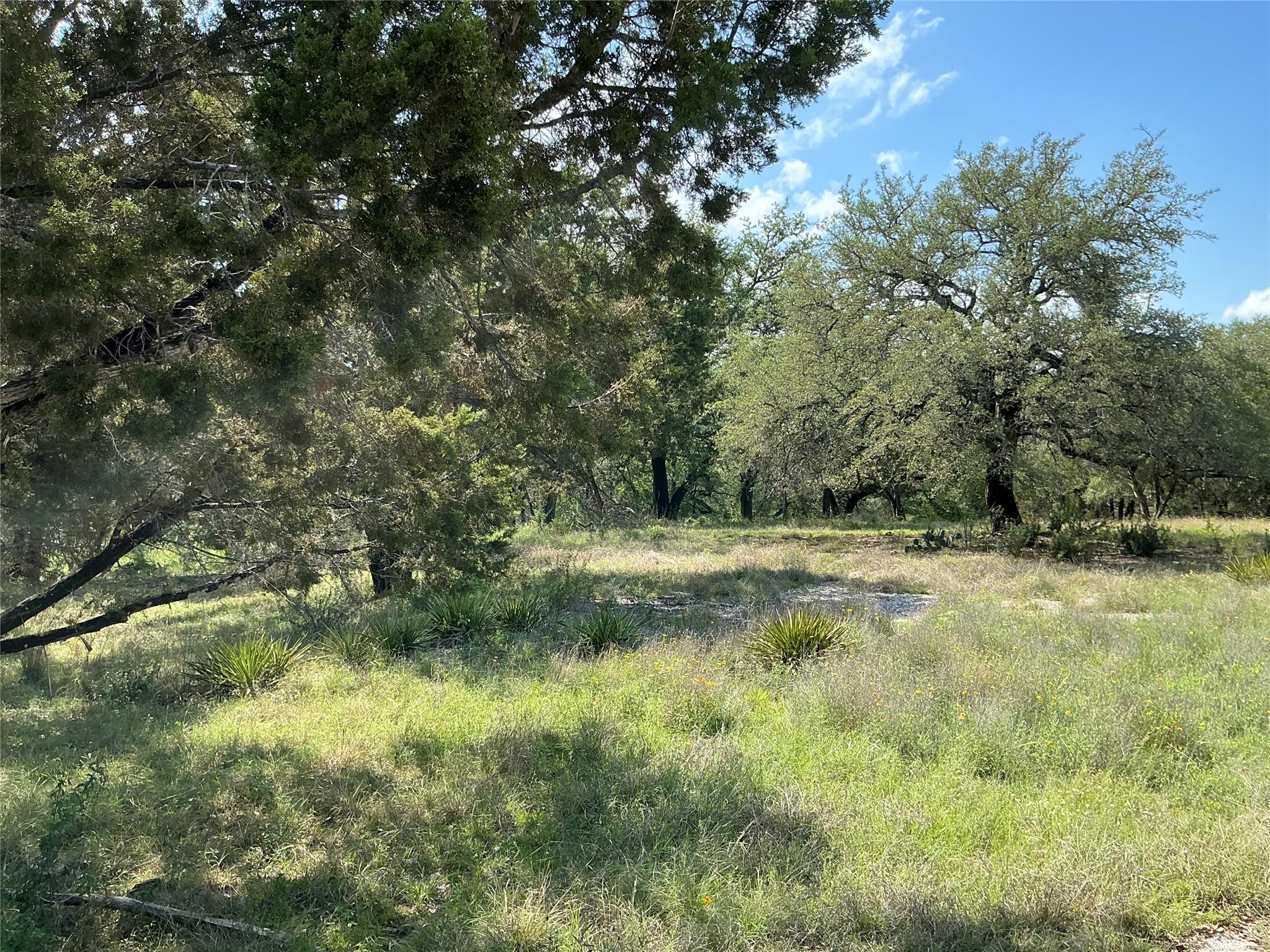 6708 Bar K Clubhouse CT, Lago Vista, TX 78645 photo 3