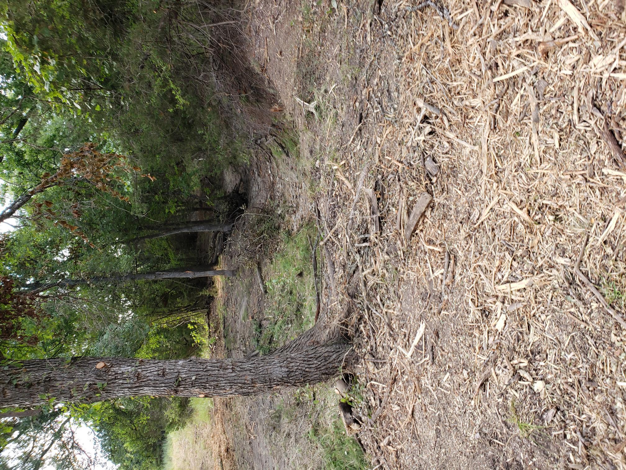 Pecan Creek Ranch