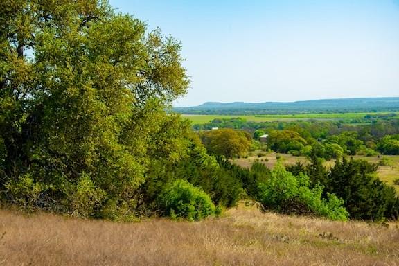 203 Rheingold School RD, Fredericksburg, TX 78624 photo 3