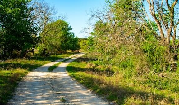 203 Rheingold School RD, Fredericksburg, TX 78624 photo 5