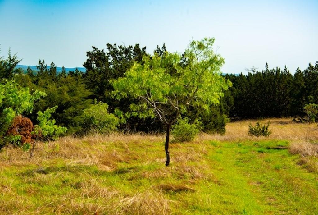 203 Rheingold School RD, Fredericksburg, TX 78624 photo 4