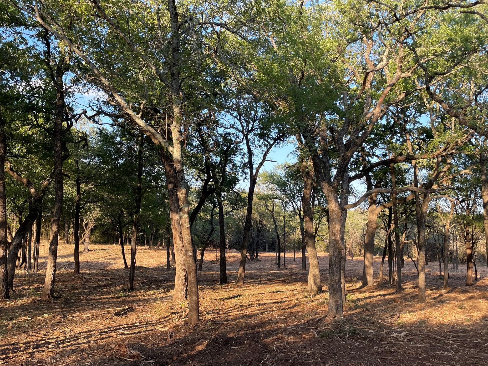 Lone Mountain Ranch