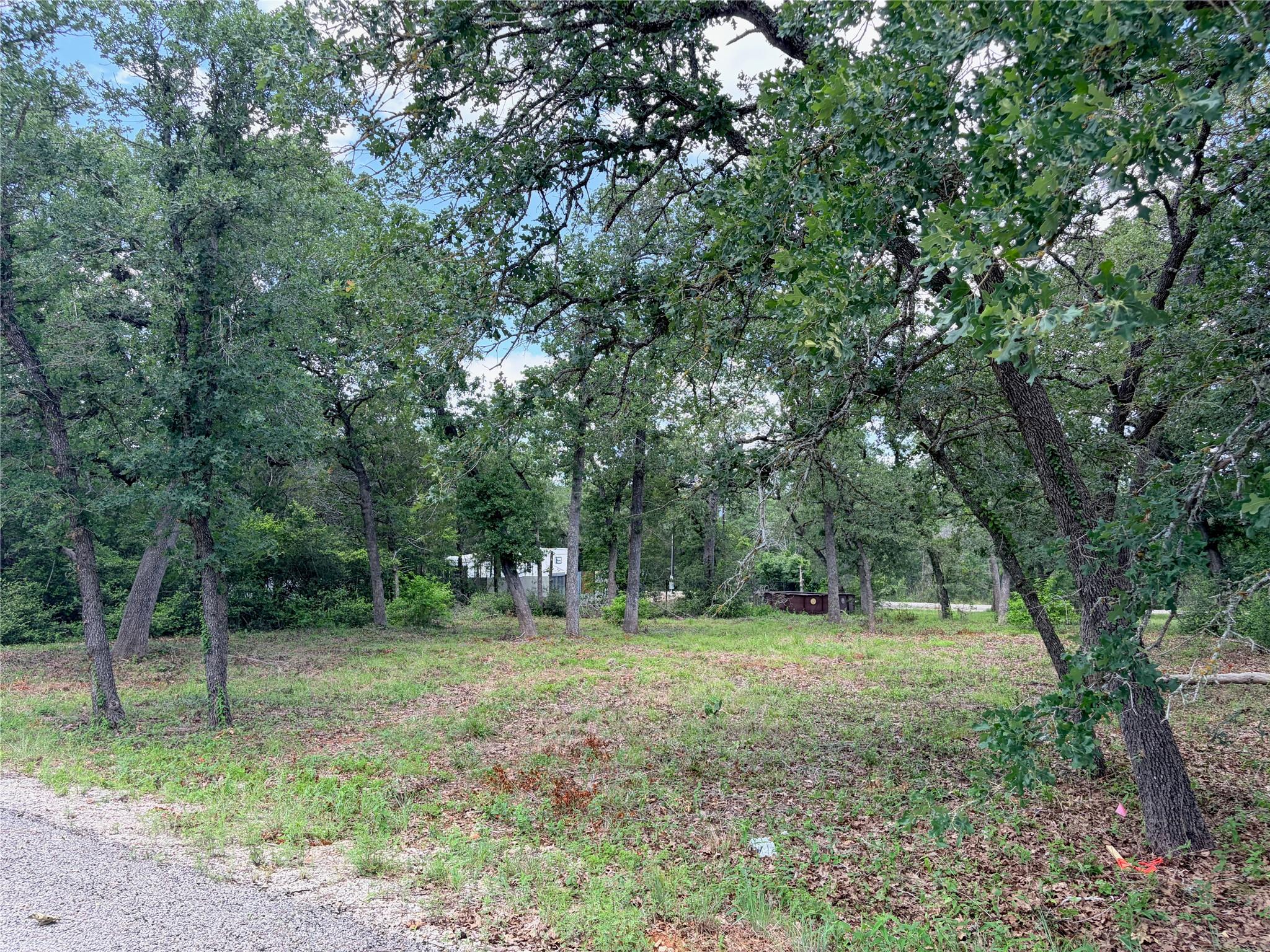 Lots-90/91 Arapaho DR, Smithville, TX 78957 photo 2
