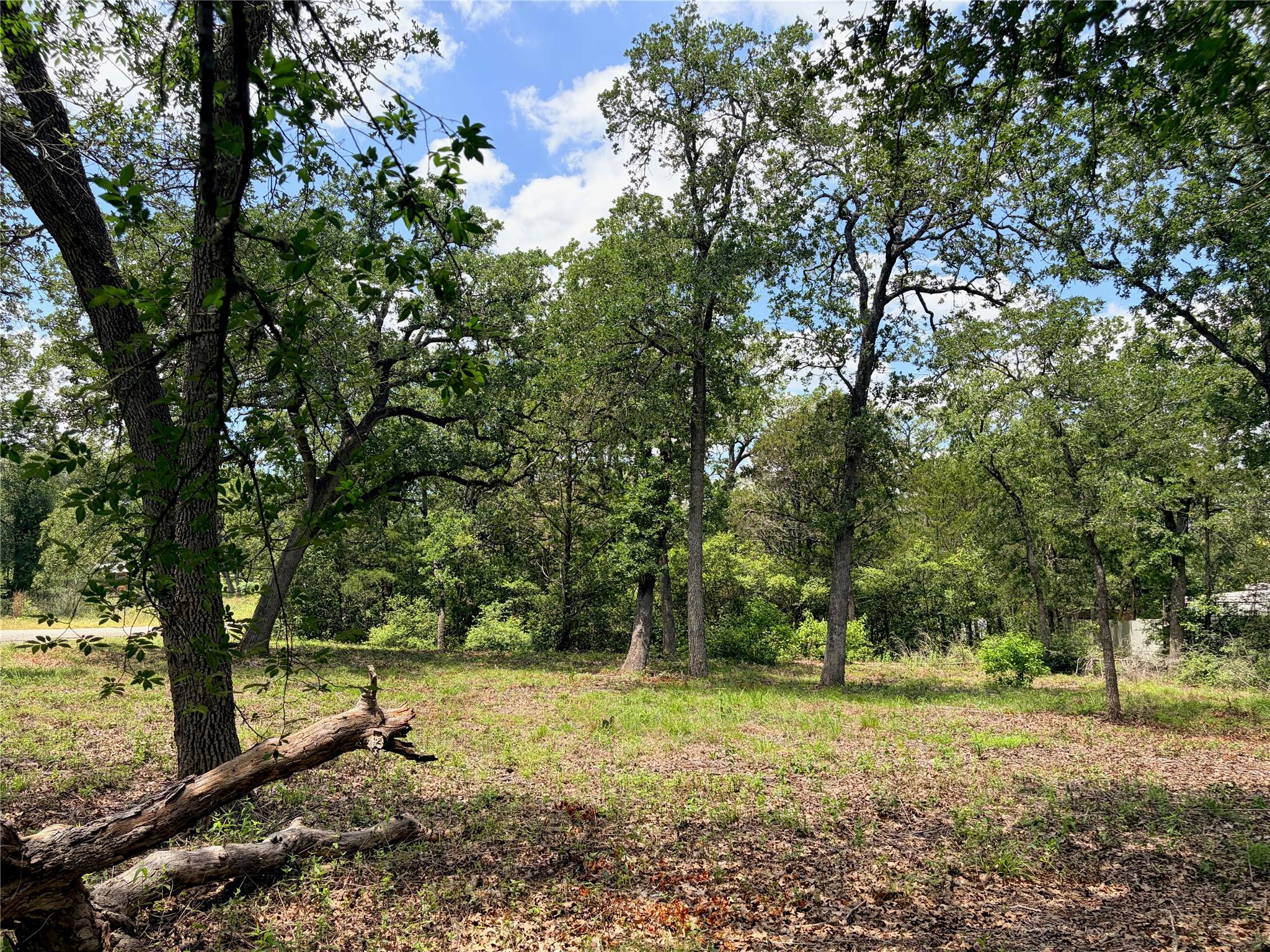 Lots-90/91 Arapaho DR, Smithville, TX 78957 photo 3