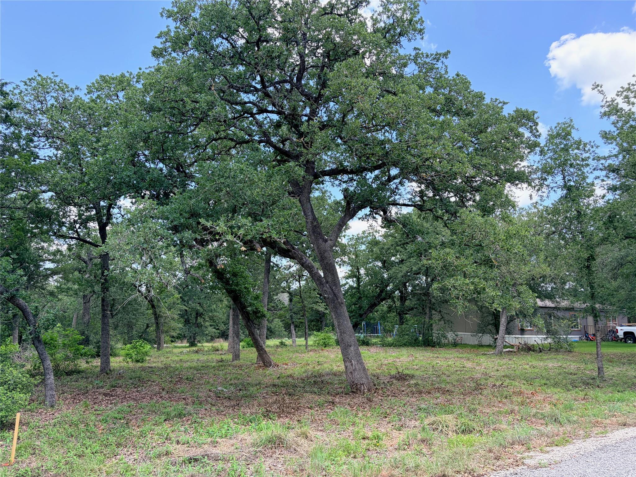 Lots-90/91 Arapaho DR, Smithville, TX 78957 photo 4