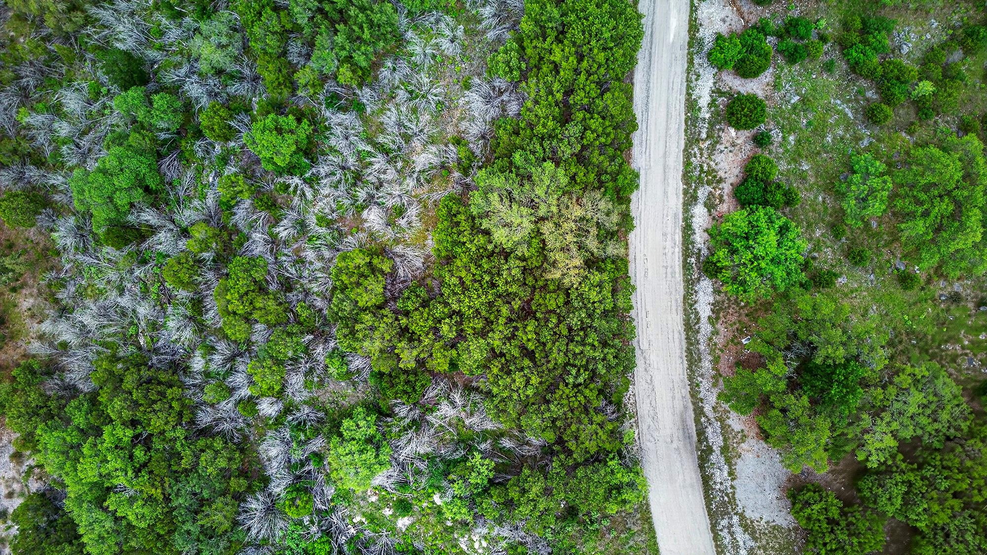 Lot K11050 Mountain Dew ST, Horseshoe Bay, TX 78657 photo 2