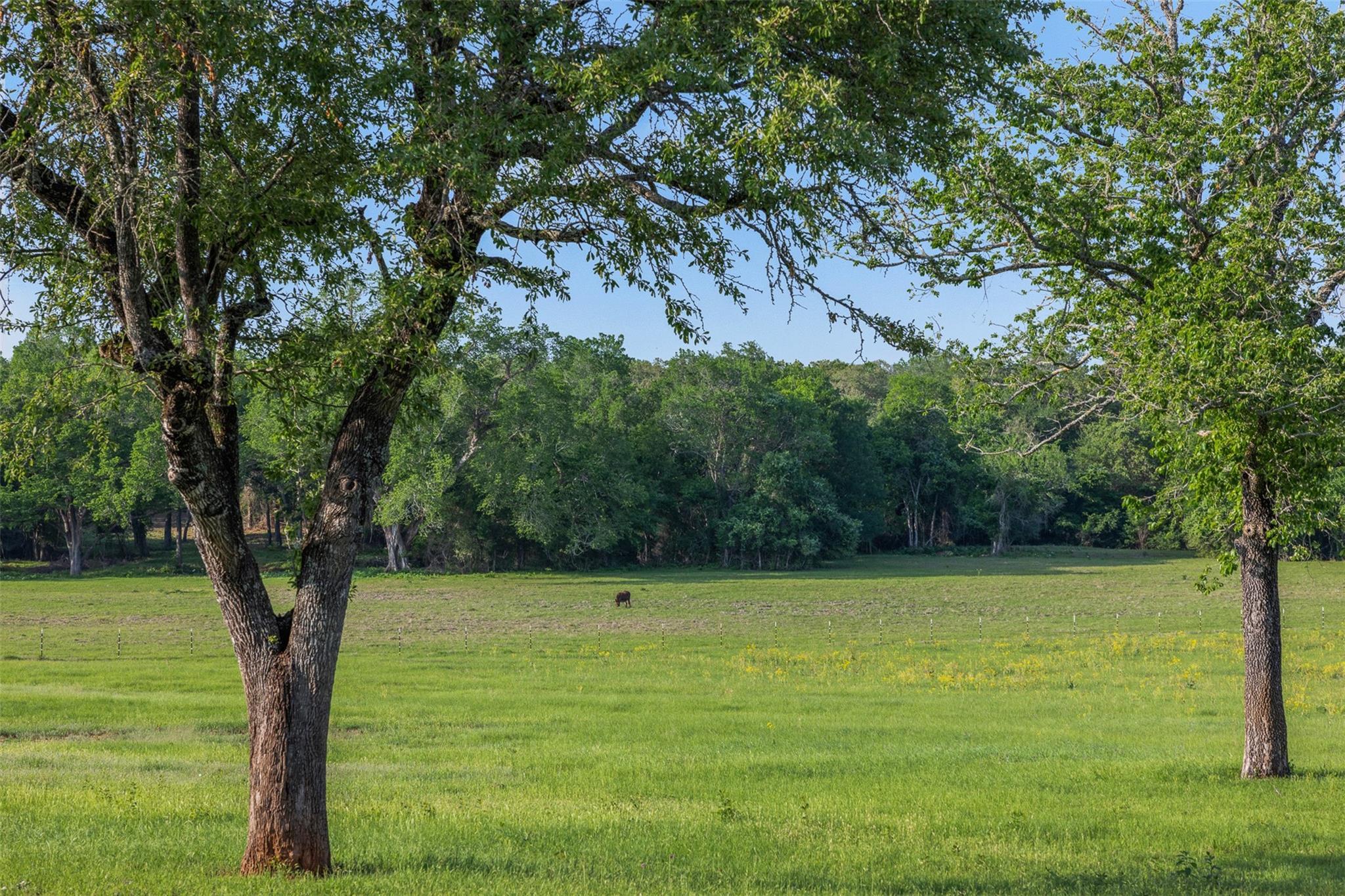 3004 County Road 310, Caldwell, TX 77836 photo 2