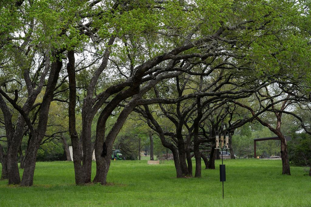 426 Mill RUN, New Braunfels, TX 78132 photo 4