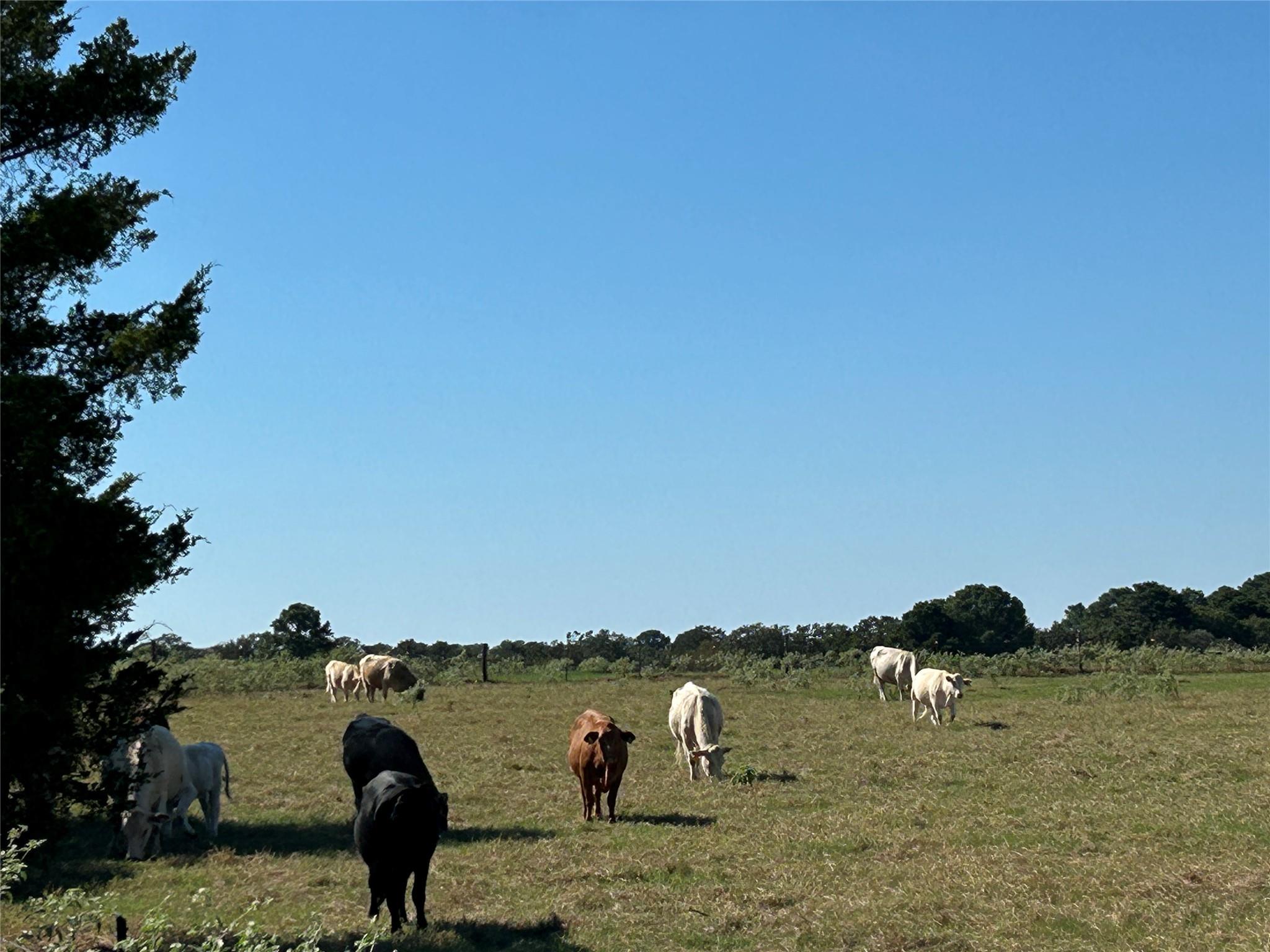 Pleasant Acres