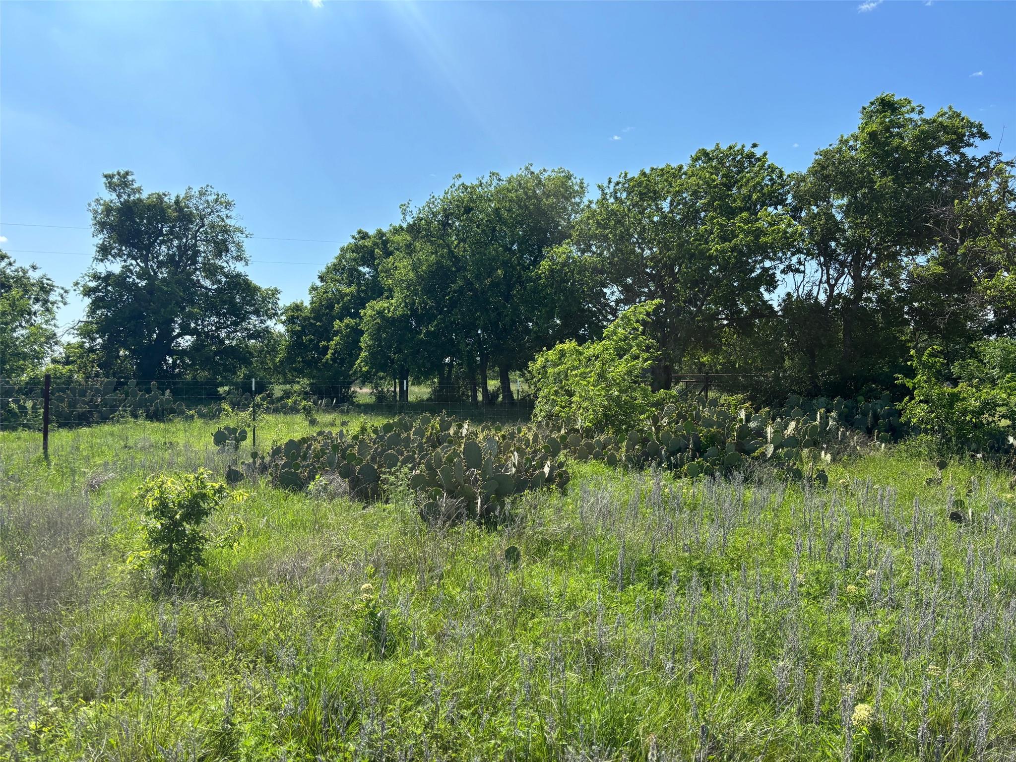 Lot 16 Titus LN, Bertram, TX 78605 photo 4