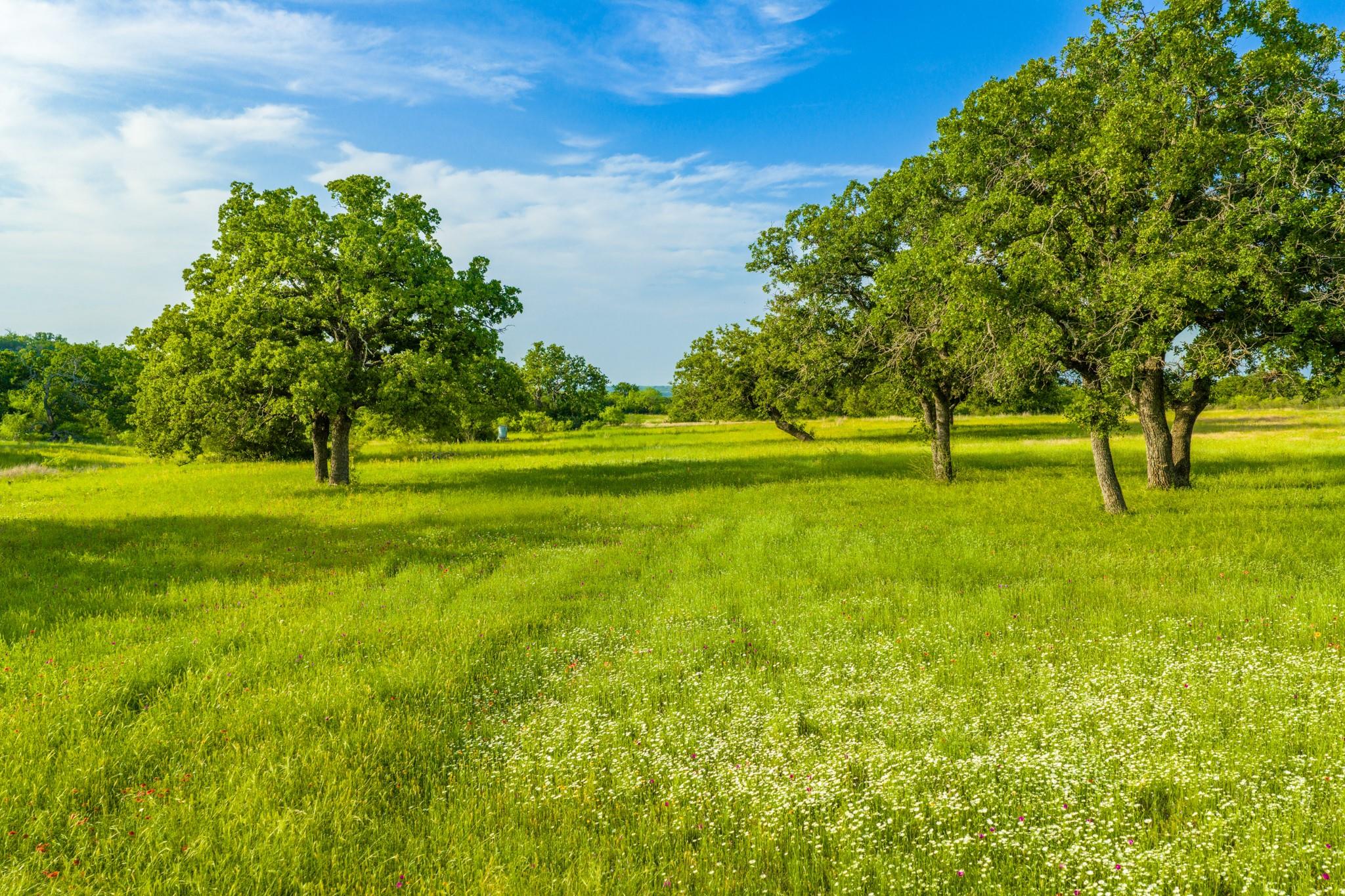 11079 Cr 266, Rochelle, TX 76872 photo 5