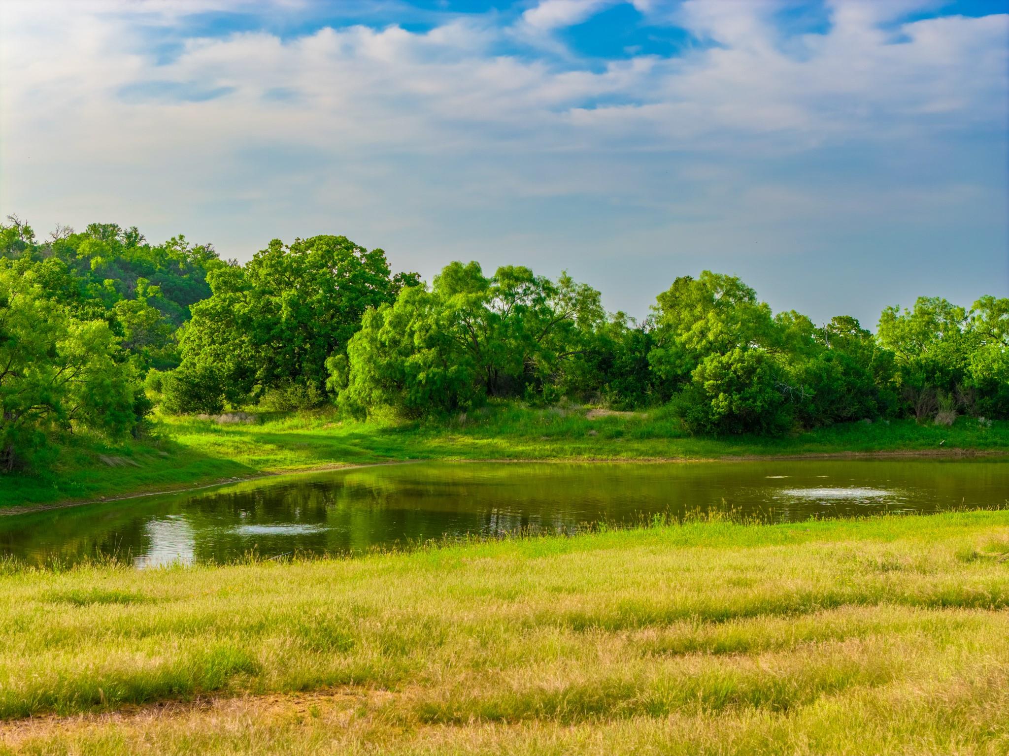 11079 Cr 266, Rochelle, TX 76872 photo 4