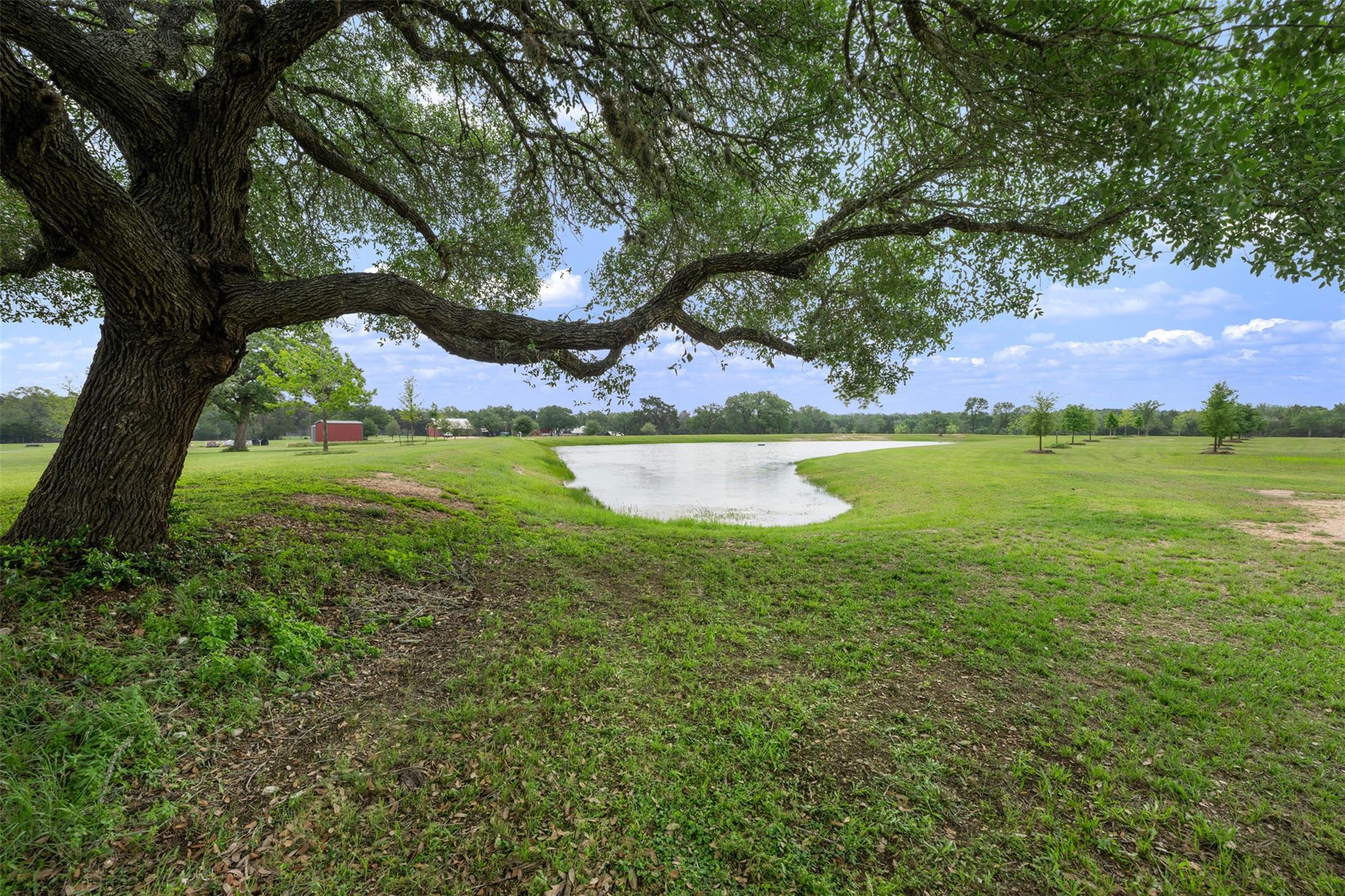 1304 State Highway 71, West Point, TX 78963 photo 4