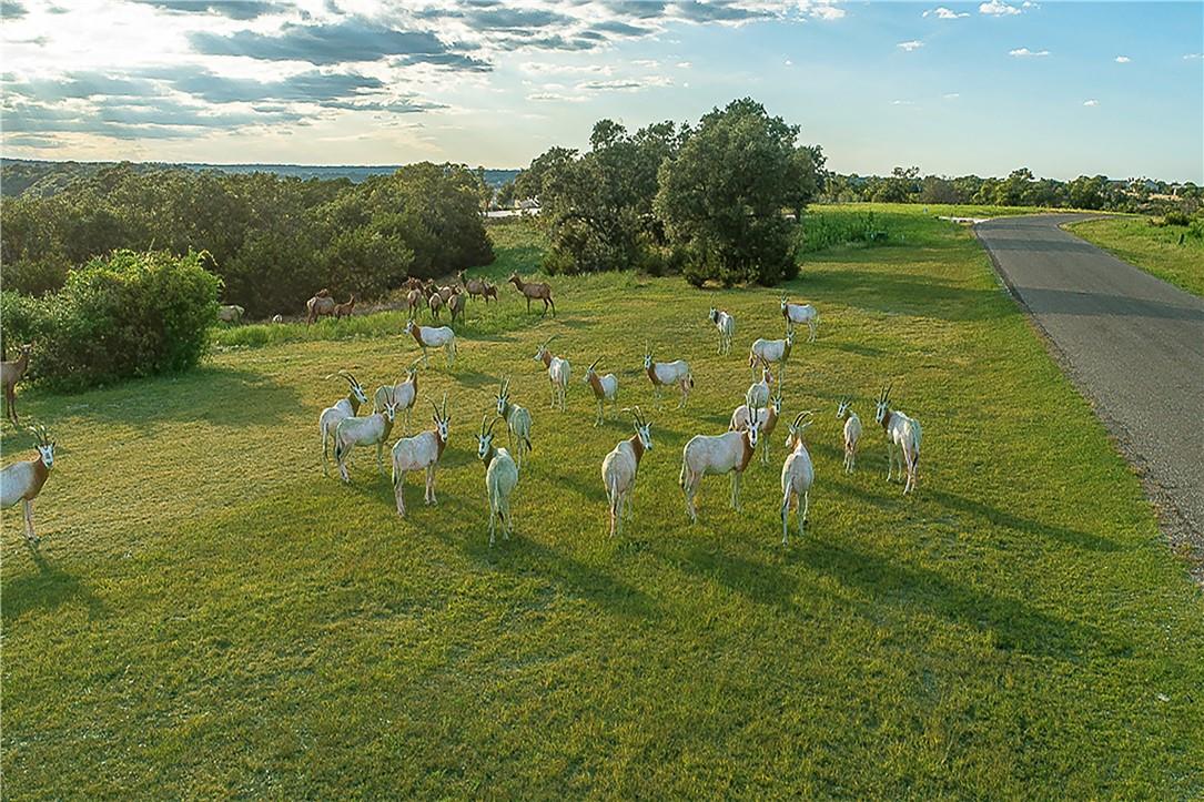 Lot 129 & 130 Lynx Cove RD, Blanco, TX 78606 photo 3