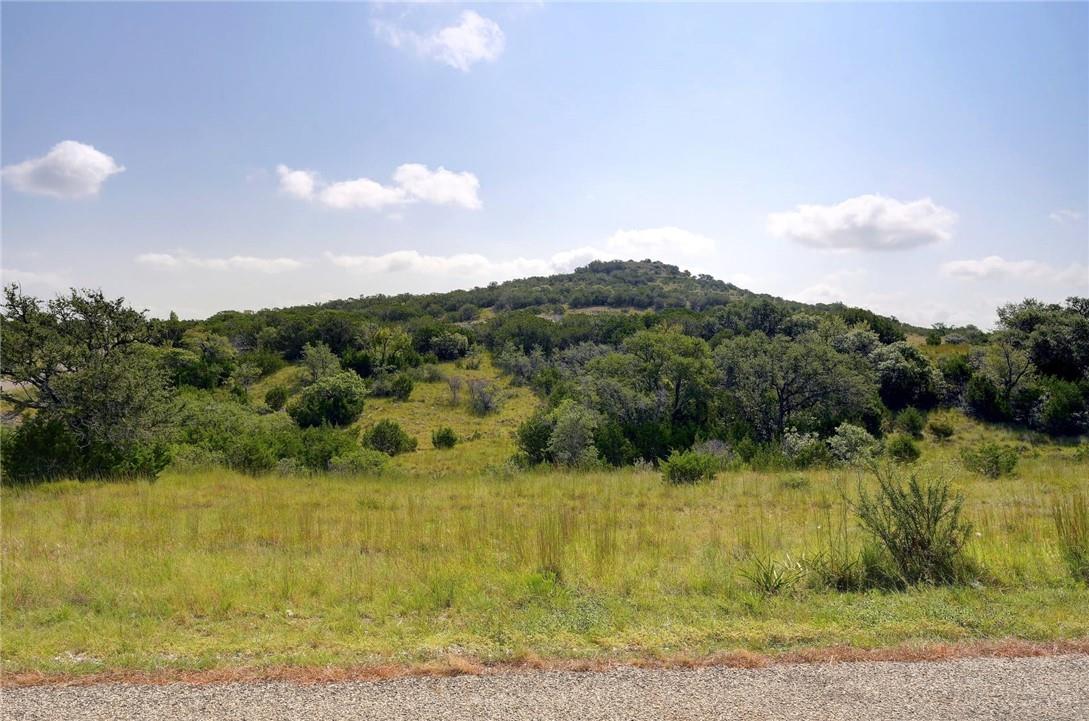Lot 129 & 130 Lynx Cove RD, Blanco, TX 78606 photo 5
