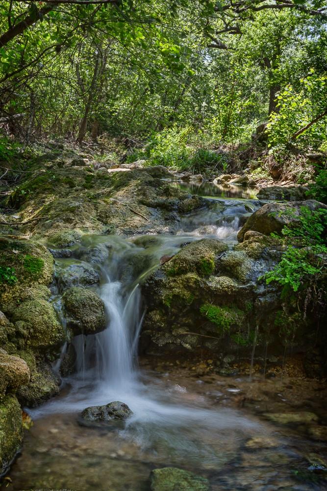 Cielo Springs