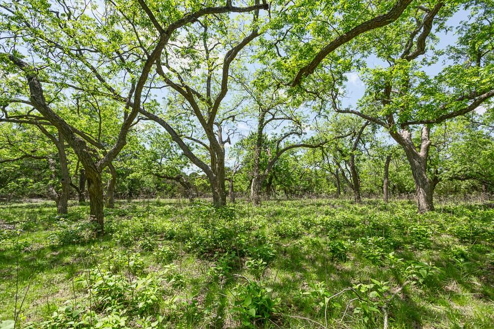 127 El Nopal DR, Blanco, TX 78606 photo 5