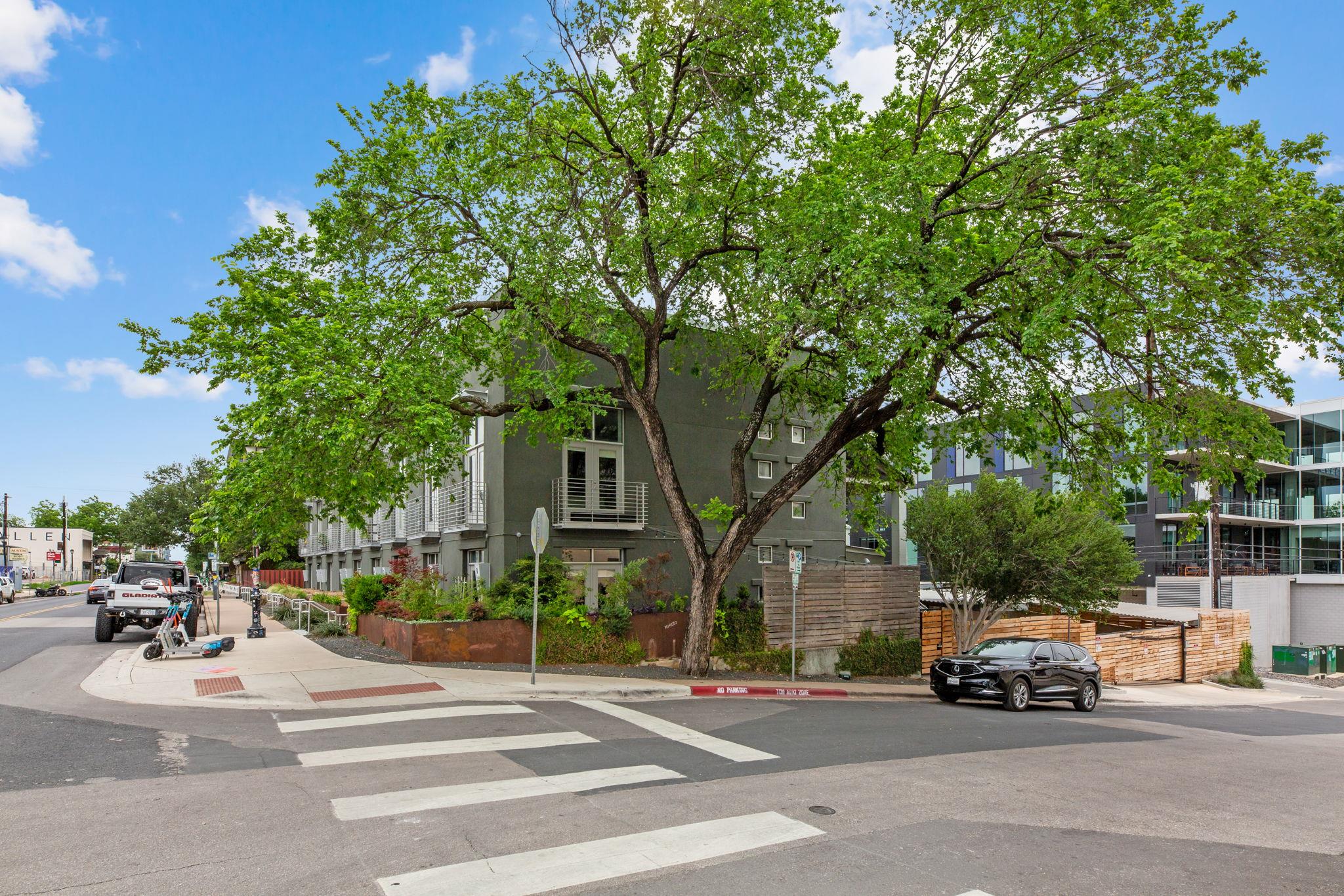 1305 6th ST #13, Austin, TX 78702 photo 2