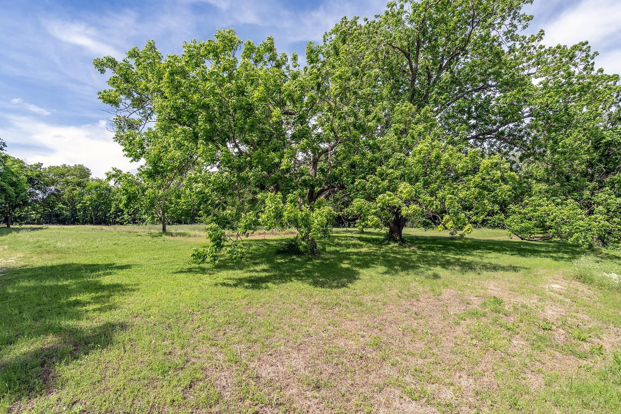 700 Main ST, Liberty Hill, TX 78642 photo 3
