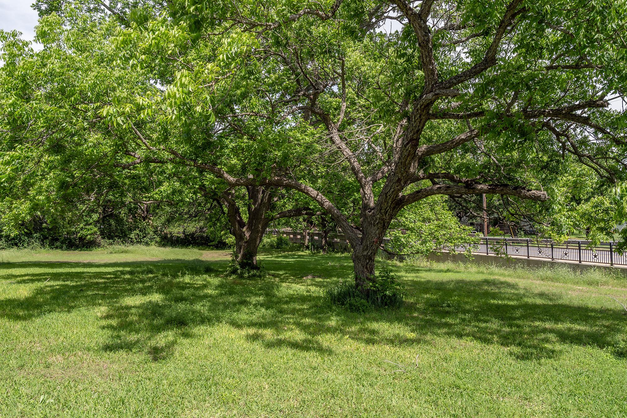 700 Main ST, Liberty Hill, TX 78642 photo 4