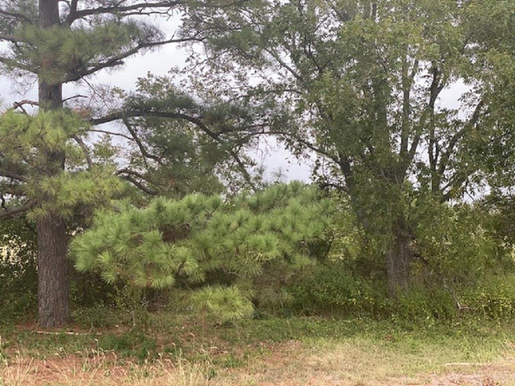 TBD N US Hwy 77 Us-77 ST, Lexington, TX 78947 photo 2