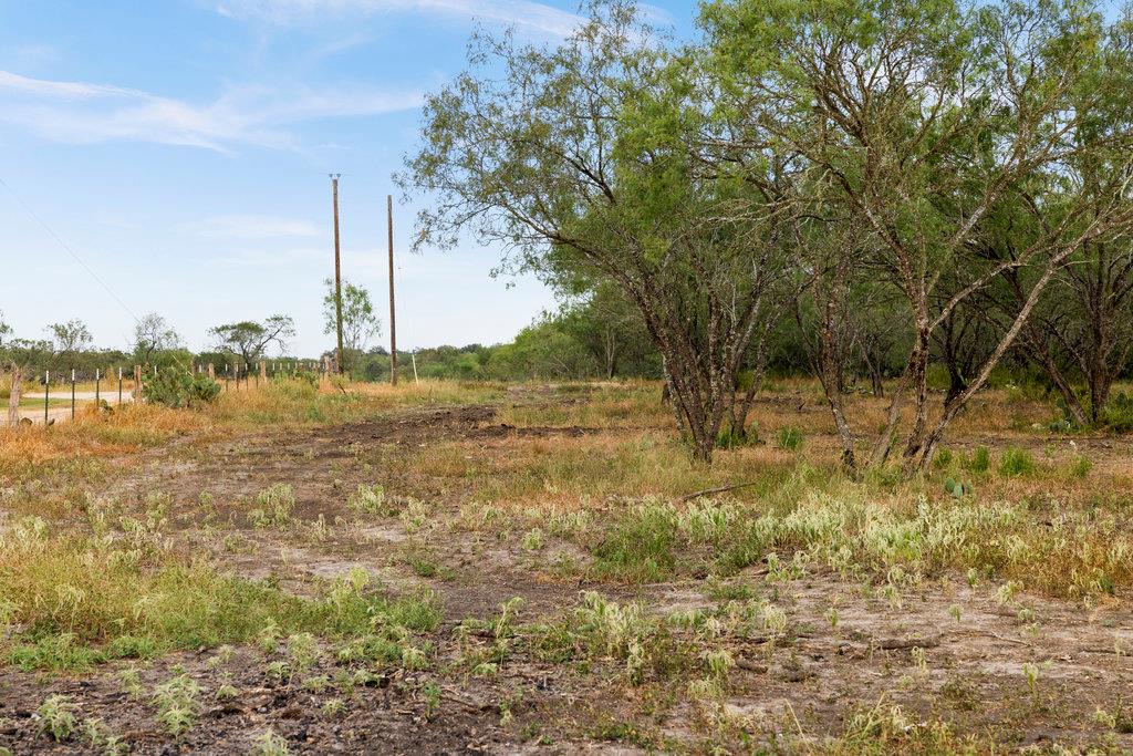 5 CR 171, Nixon, TX 78140 photo 5
