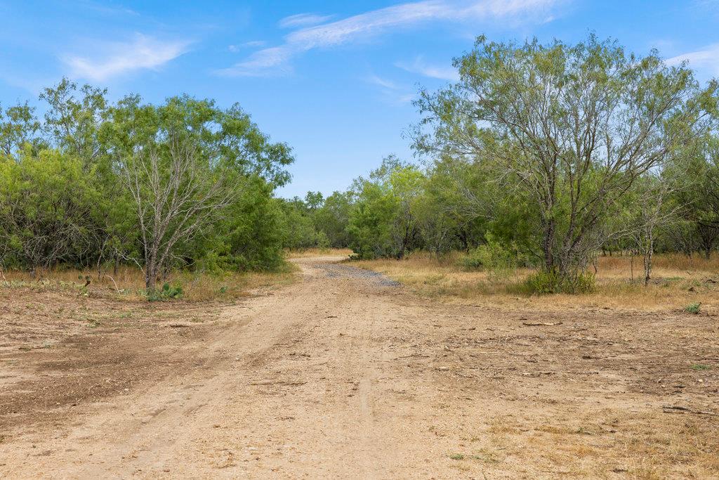 5 CR 171, Nixon, TX 78140 photo 4
