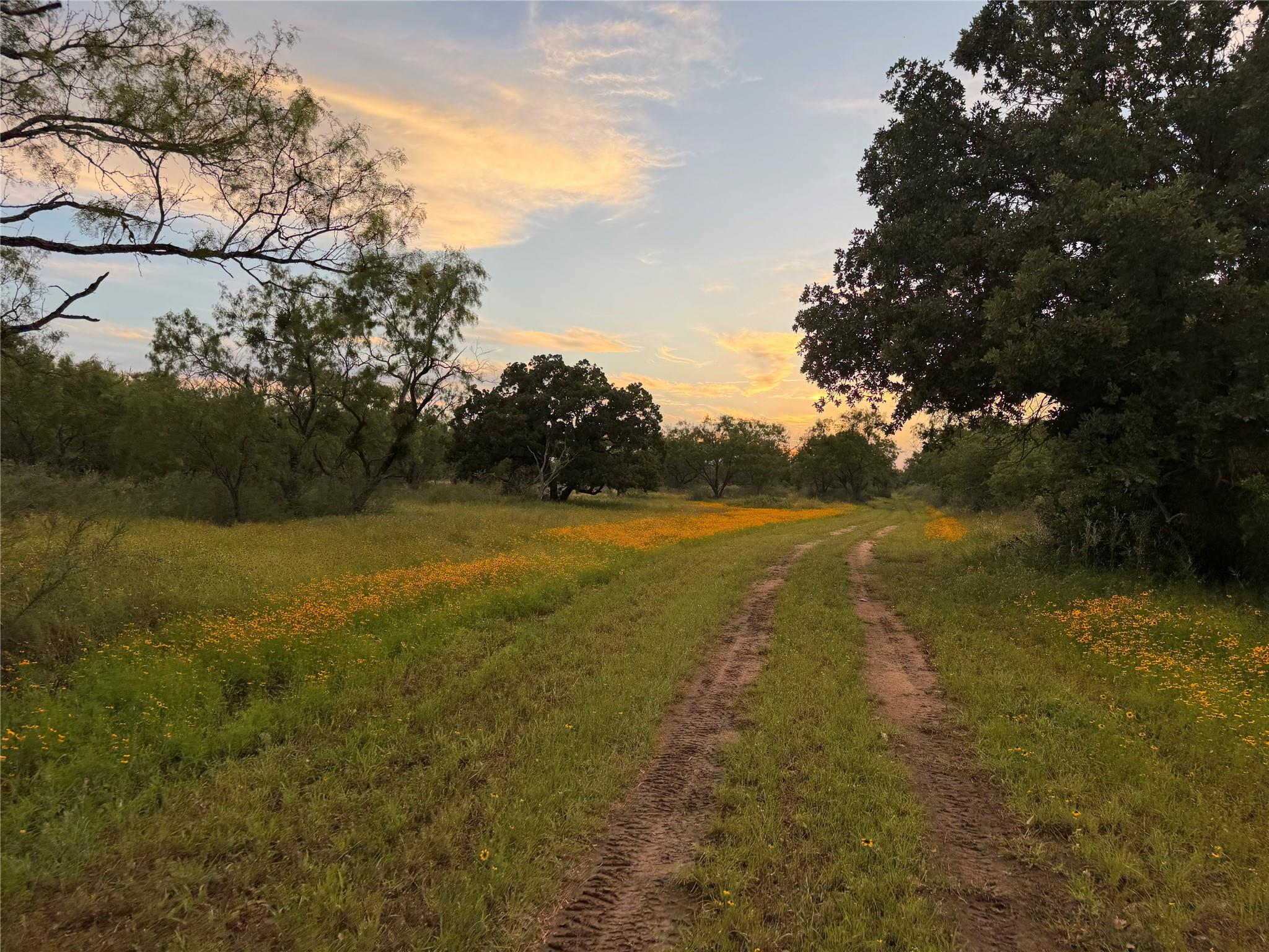 TBD FM 1980, Marble Falls, TX 78654 photo 2
