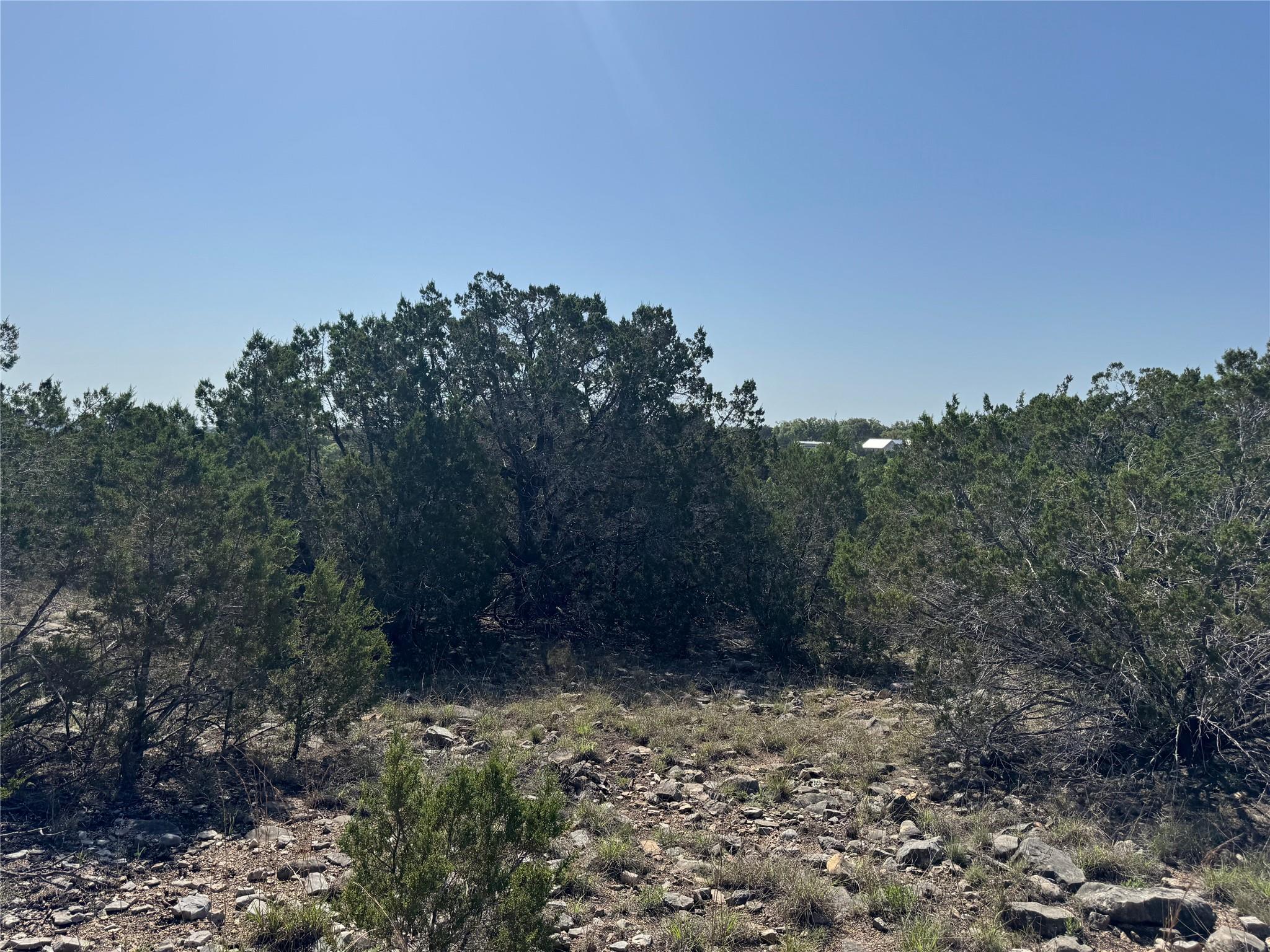 Lot 53 Balcones Ridge WAY, Bertram, TX 78605 photo 5