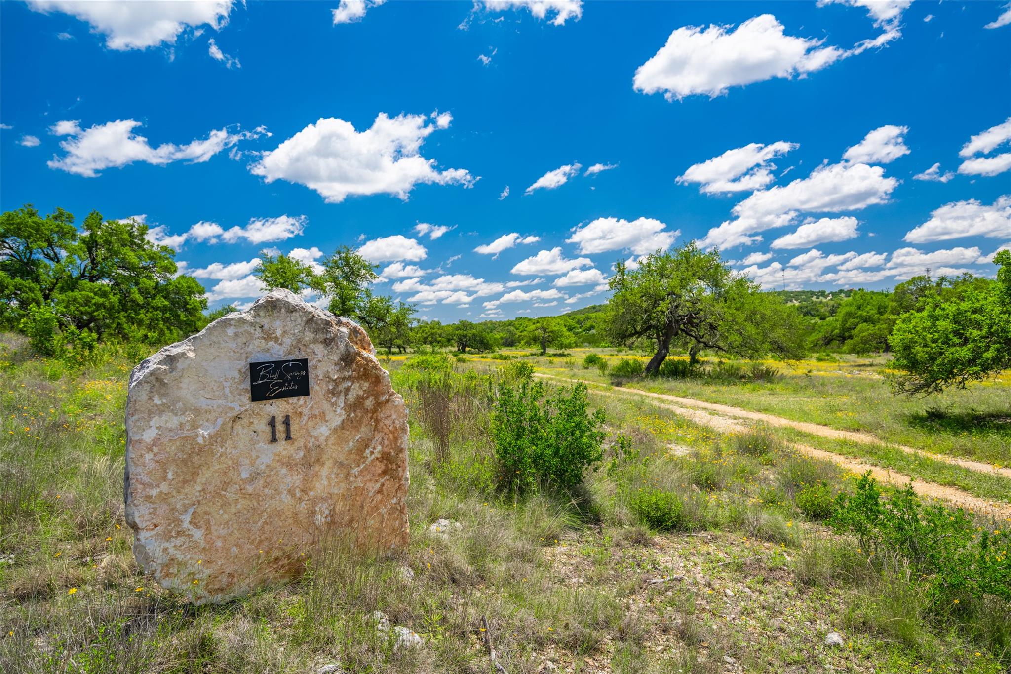Bluff Springs Estates
