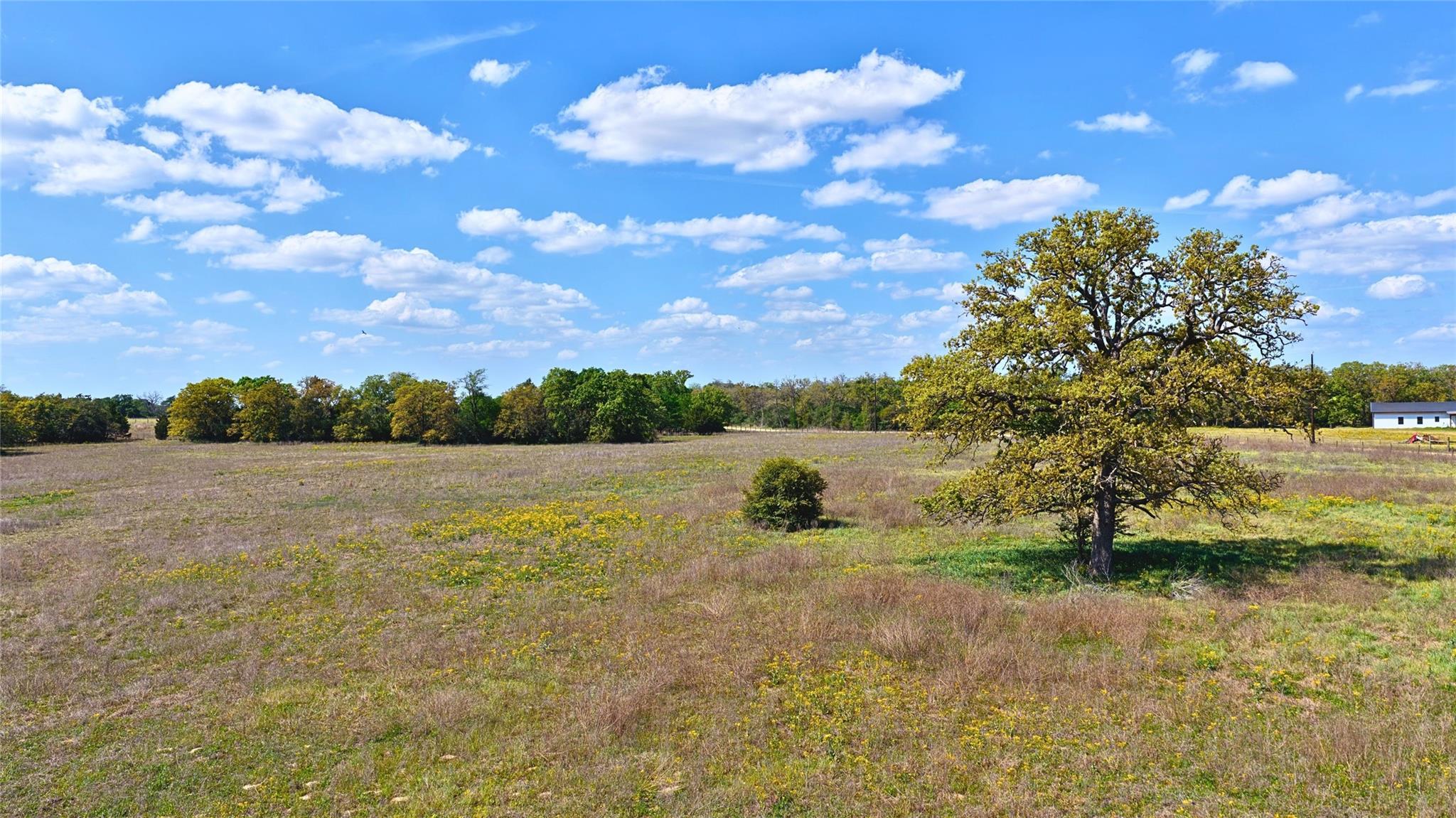 TBD Legacy Road (5.41 Acres), Caldwell, TX 77836 photo 4