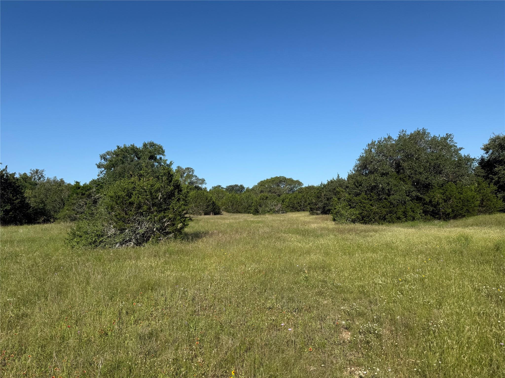 1 Shiny Top Ranch RD, Salado, TX 76571 photo 3