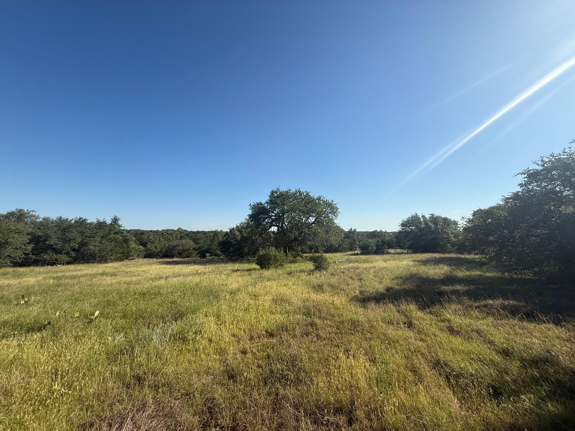 1 Shiny Top Ranch RD, Salado, TX 76571 photo 4