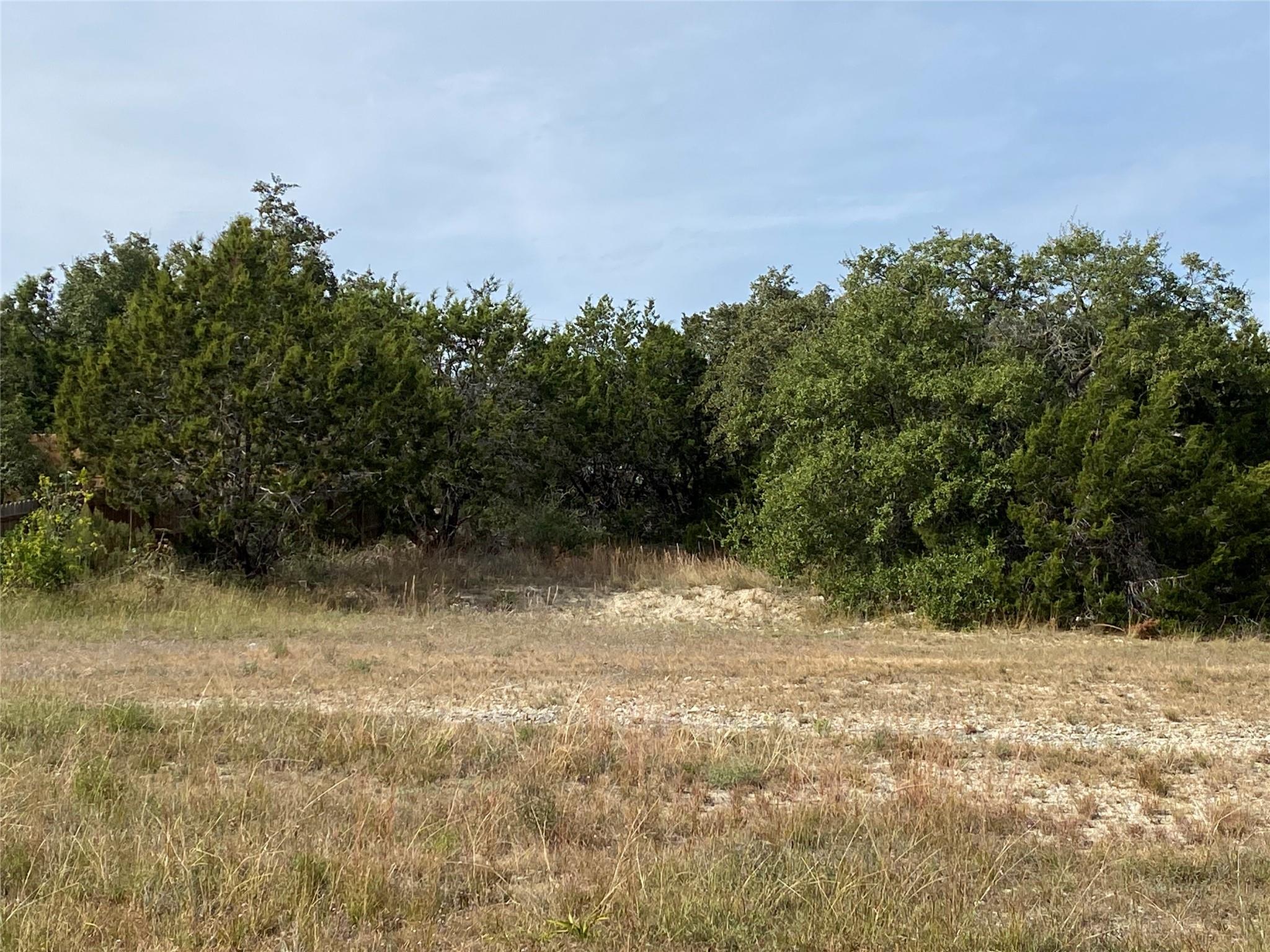 104 Meadowlark ST, Lakeway, TX 78734 photo 3