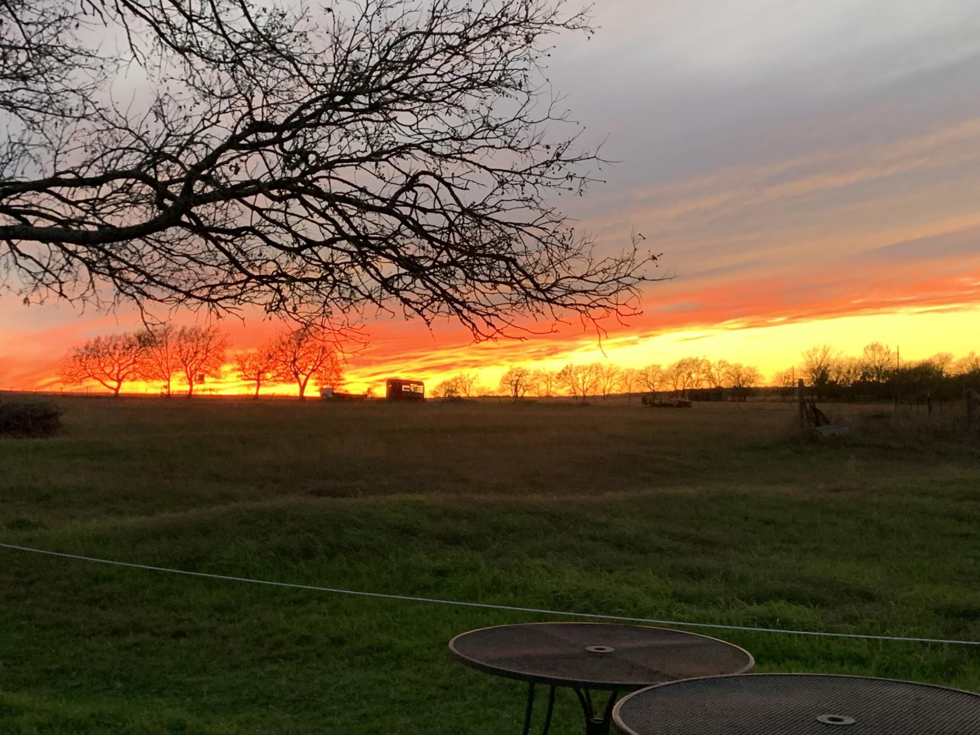 McKinney & Williams Survey, 16 Acres