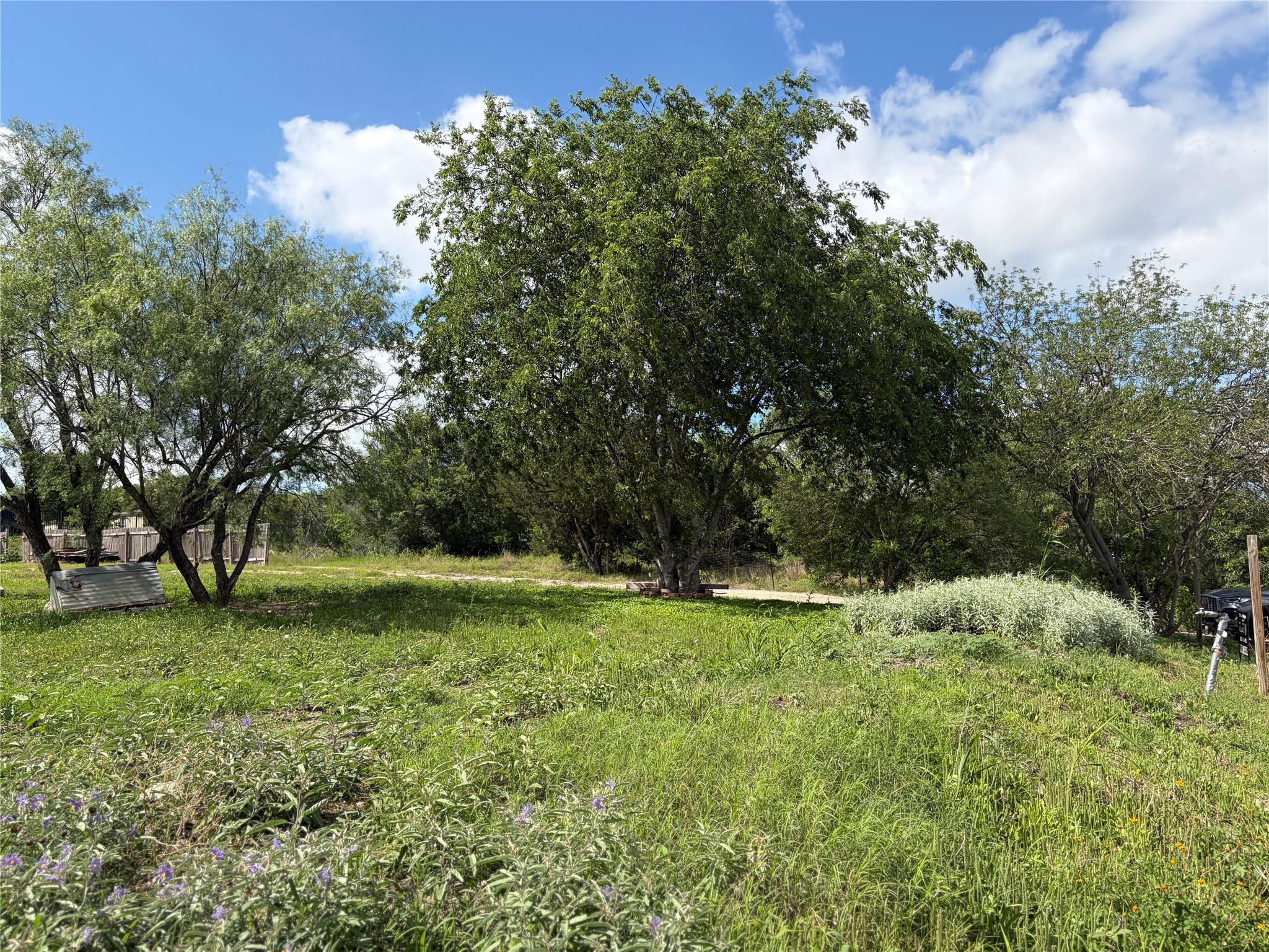 207 Cresthill CSWY, Kyle, TX 78640 photo 2