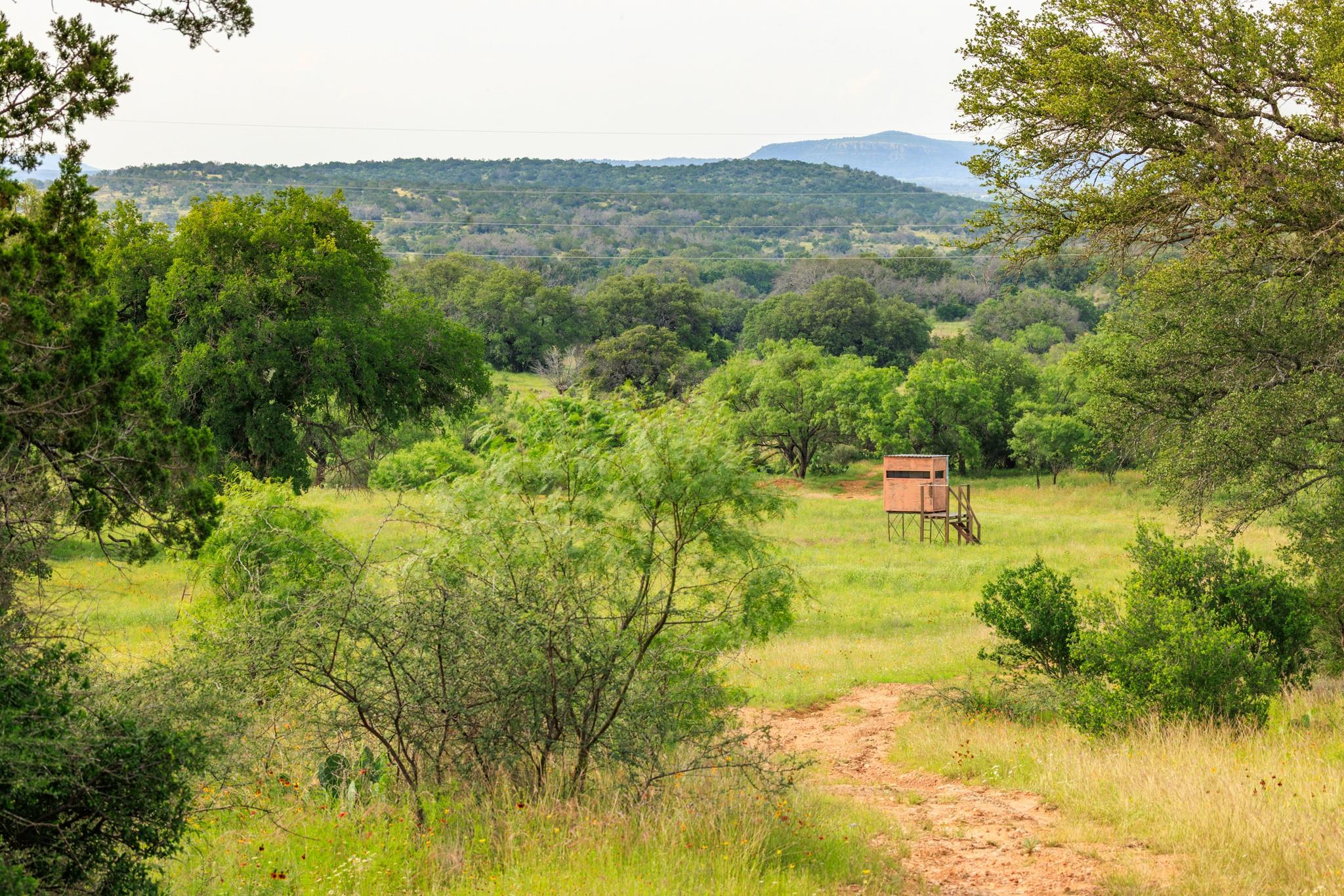 3724 Ranch Road 3347, Round Mountain, TX 78663 photo 4