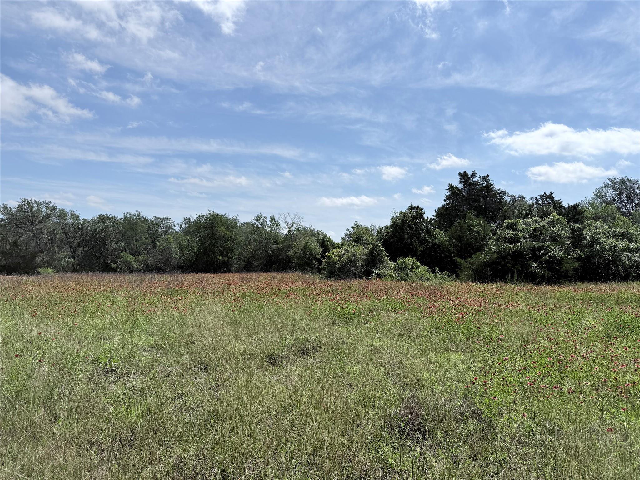 1880 Fm 2571, Smithville, TX 78957 photo 4