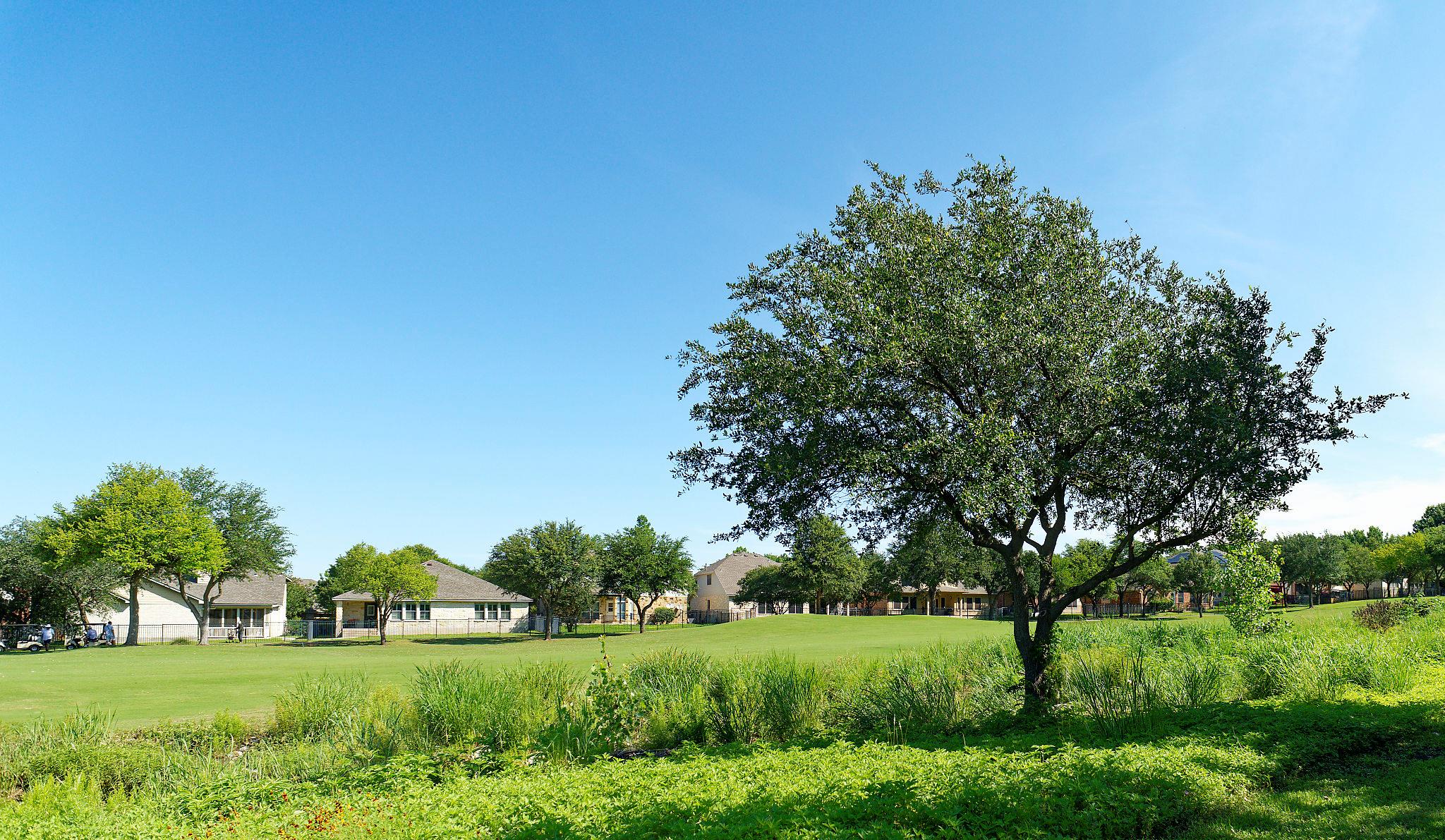 1116 Hillridge DR, Round Rock, TX 78665 photo 4