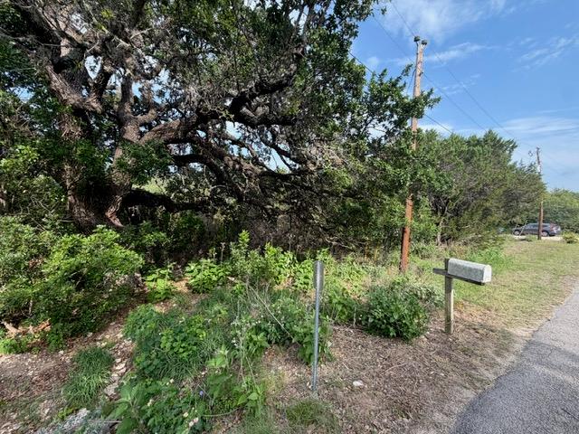 1476 Canyon Ridge DR, Canyon Lake, TX 78133 photo 2