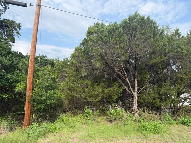 1476 Canyon Ridge DR, Canyon Lake, TX 78133 photo 5