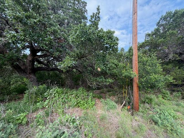 1476 Canyon Ridge DR, Canyon Lake, TX 78133 photo 4