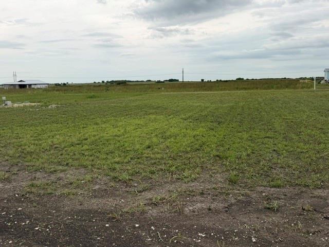 1178 Saltgrass DR, Salado, TX 76571 photo 3