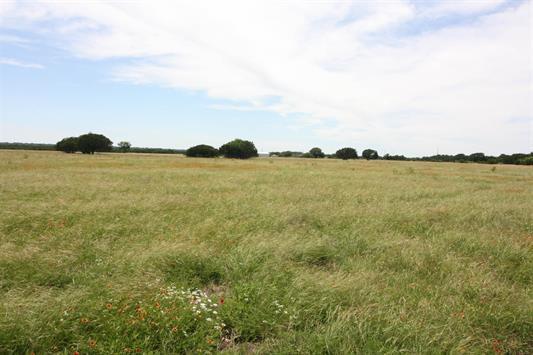 1115 Tract - 1 County Road 204, Burnet, TX 78611 photo 5