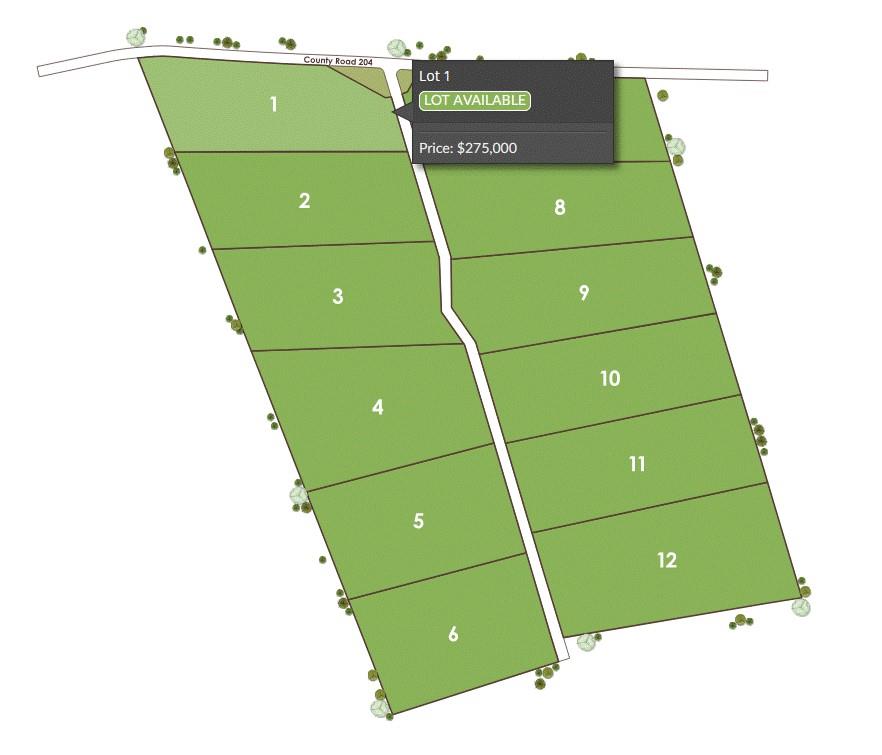 1115 Tract - 1 County Road 204, Burnet, TX 78611 photo 4