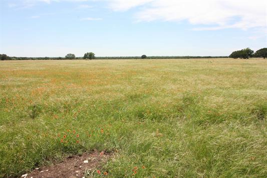 1115 Tract 2 - County Road 204, Burnet, TX 78611 photo 4