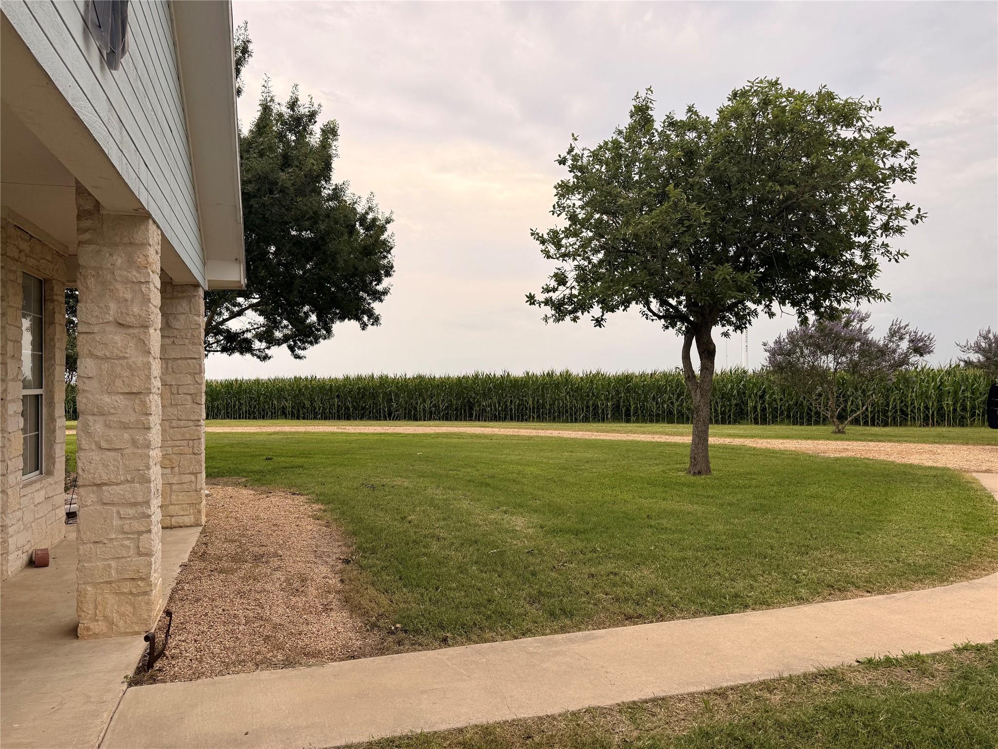 5600 Fm 1466, Coupland, TX 78615 photo 5