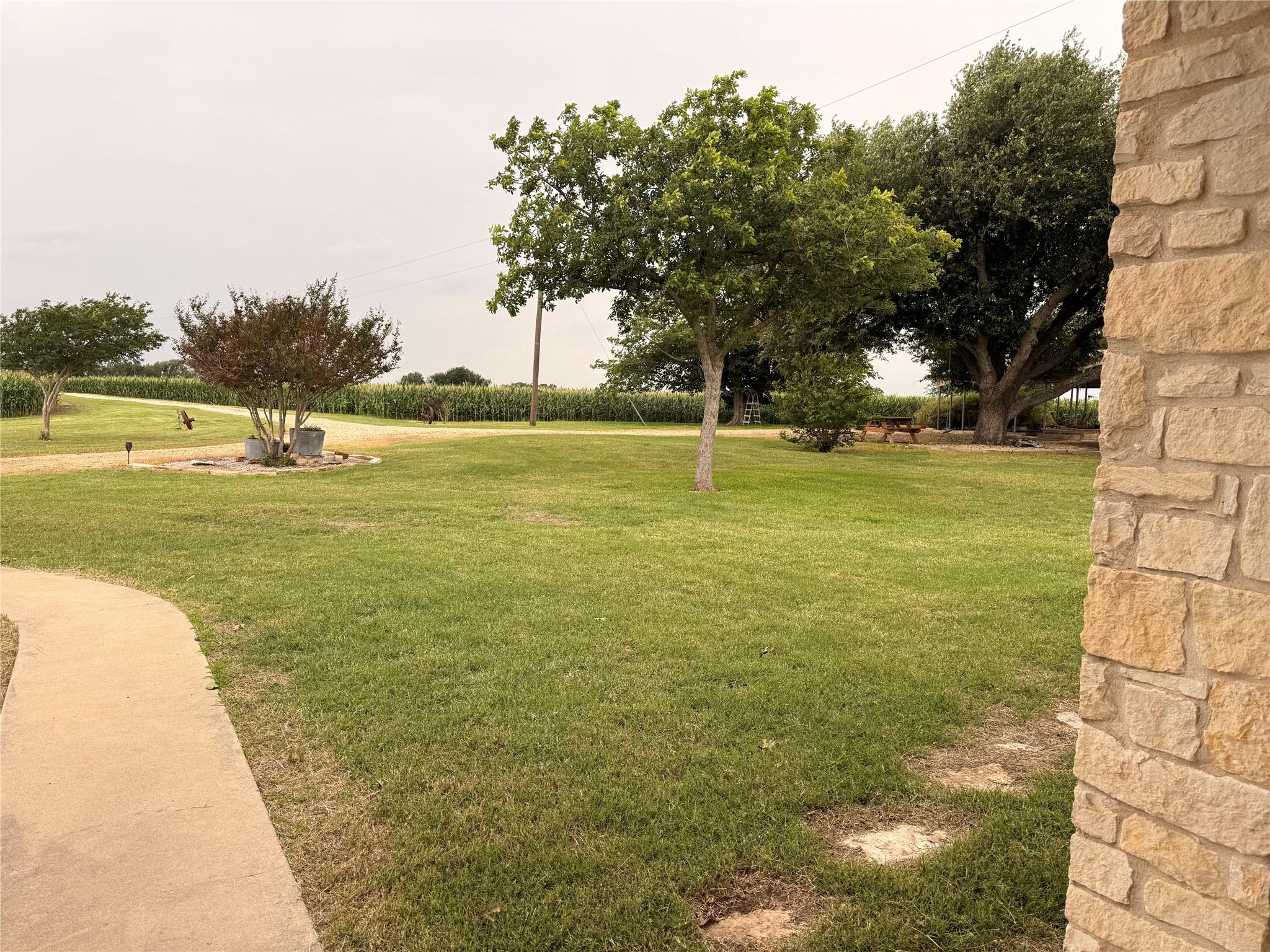5600 Fm 1466, Coupland, TX 78615 photo 4