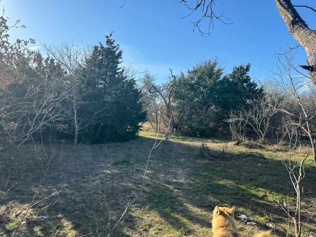 8405 Taylorsville RD, Dale, TX 78616 photo 2
