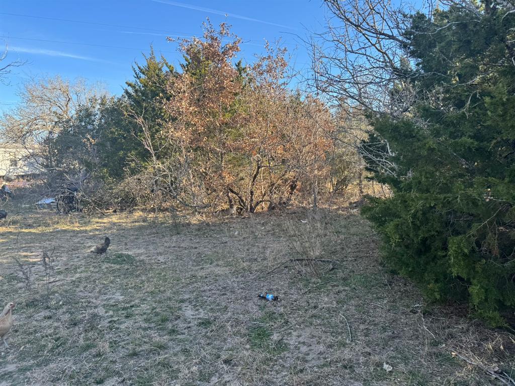 8405 Taylorsville RD, Dale, TX 78616 photo 3
